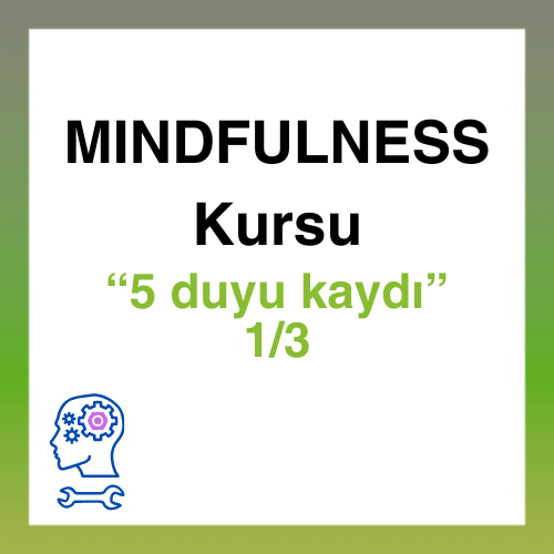 Mindfulness Kursu Farkındalık
