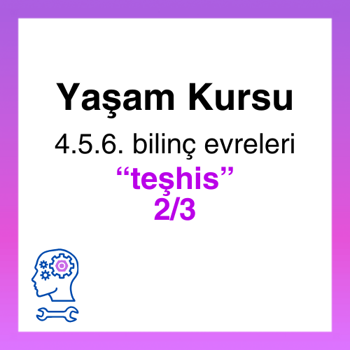 Yaşam Kursu Çözümleme